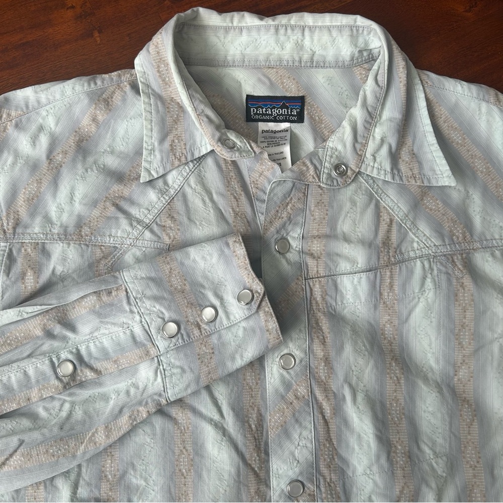 Patagonia Light Blue and Beige Striped Casual Button-Down Shirt